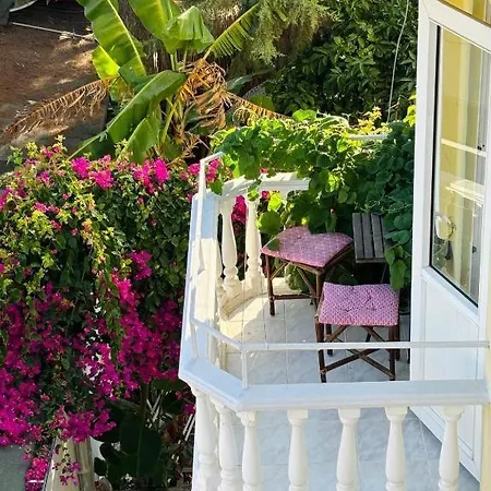 Hotel Limon 2*
