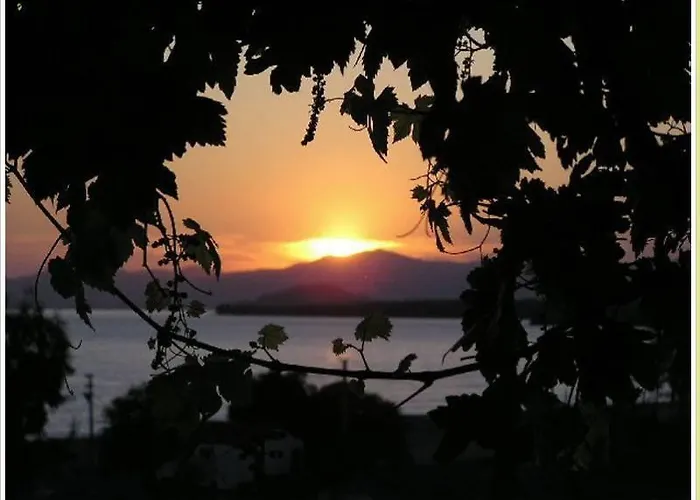 Limon فندق فتحية